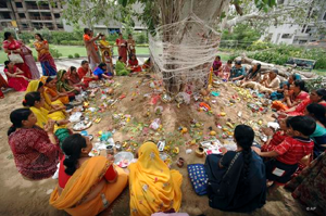 Information about hinduism facts soubhagya pradayini vata savithri vratham, vat savitri puja, vat savitri pooja, savitri puja vrat katha